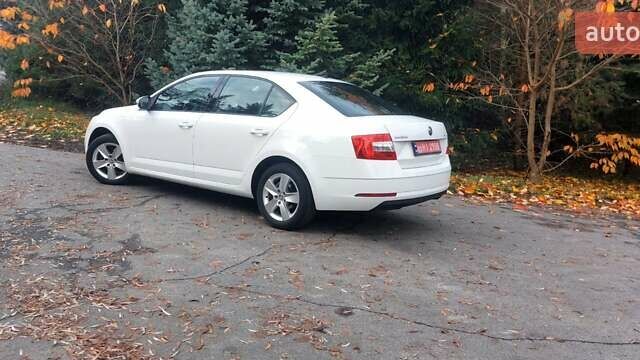 Белый Шкода Октавия, объемом двигателя 1.6 л и пробегом 224 тыс. км за 14500 $, фото 1 на Automoto.ua