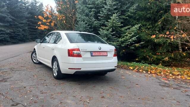 Белый Шкода Октавия, объемом двигателя 1.6 л и пробегом 224 тыс. км за 14500 $, фото 7 на Automoto.ua