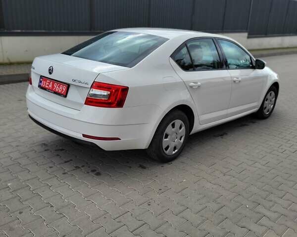 Белый Шкода Октавия, объемом двигателя 1.6 л и пробегом 220 тыс. км за 11500 $, фото 16 на Automoto.ua