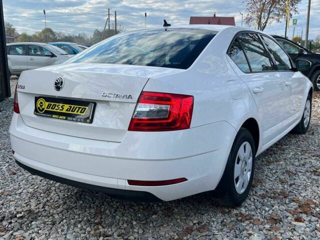 Белый Шкода Октавия, объемом двигателя 1.6 л и пробегом 140 тыс. км за 14900 $, фото 4 на Automoto.ua