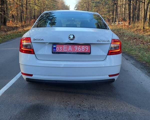 Белый Шкода Октавия, объемом двигателя 1.6 л и пробегом 220 тыс. км за 11500 $, фото 8 на Automoto.ua