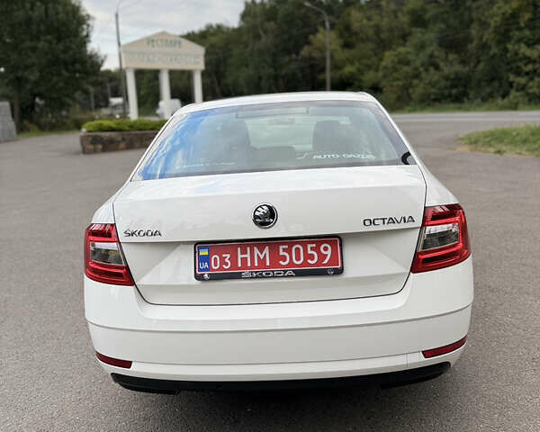 Белый Шкода Октавия, объемом двигателя 1.6 л и пробегом 188 тыс. км за 15300 $, фото 19 на Automoto.ua