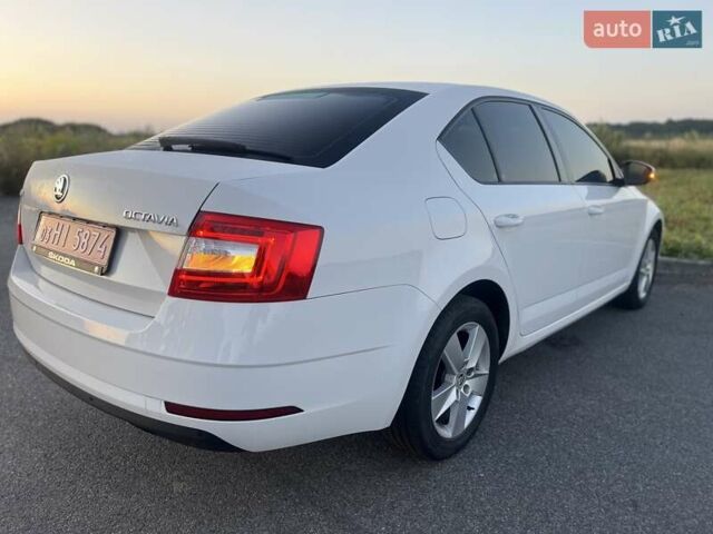 Білий Шкода Октавія, об'ємом двигуна 1.6 л та пробігом 164 тис. км за 13699 $, фото 13 на Automoto.ua