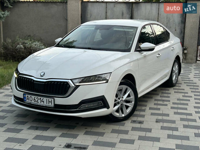 Шкода Октавия 2020 в Мукачеве на Automoto.ua Белый Шкода Октавия, объемом двигателя 1.4 л и пробегом 174 тыс. км за 18299 $, фото 3 на Automoto.ua