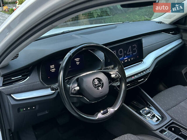Шкода Октавия 2020 в Мукачеве на Automoto.ua Белый Шкода Октавия, объемом двигателя 1.4 л и пробегом 174 тыс. км за 18299 $, фото 22 на Automoto.ua