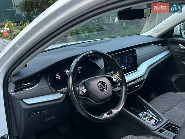Шкода Октавия 2020 в Мукачеве на Automoto.ua Белый Шкода Октавия, объемом двигателя 1.4 л и пробегом 174 тыс. км за 18299 $, фото 23 на Automoto.ua