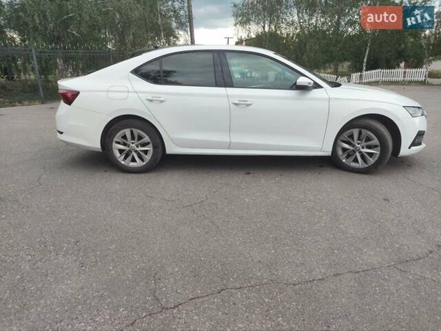Белый Шкода Октавия, объемом двигателя 2 л и пробегом 109 тыс. км за 18600 $, фото 6 на Automoto.ua