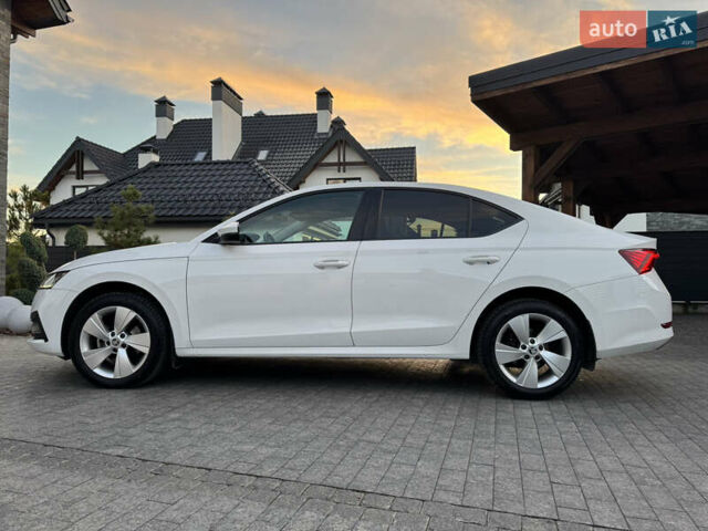 Белый Шкода Октавия, объемом двигателя 1.97 л и пробегом 243 тыс. км за 21500 $, фото 29 на Automoto.ua