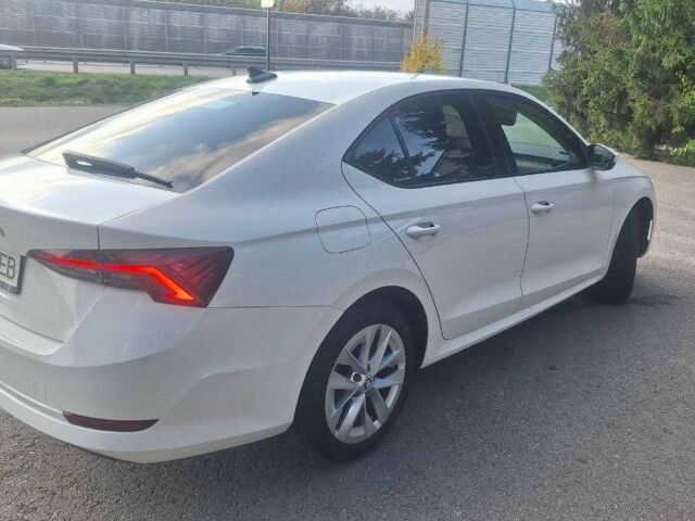 Шкода Октавия 2021 в Обухове на Automoto.ua Белый Шкода Октавия, объемом двигателя 1.4 л и пробегом 167 тыс. км за 17700 $, фото 3 на Automoto.ua