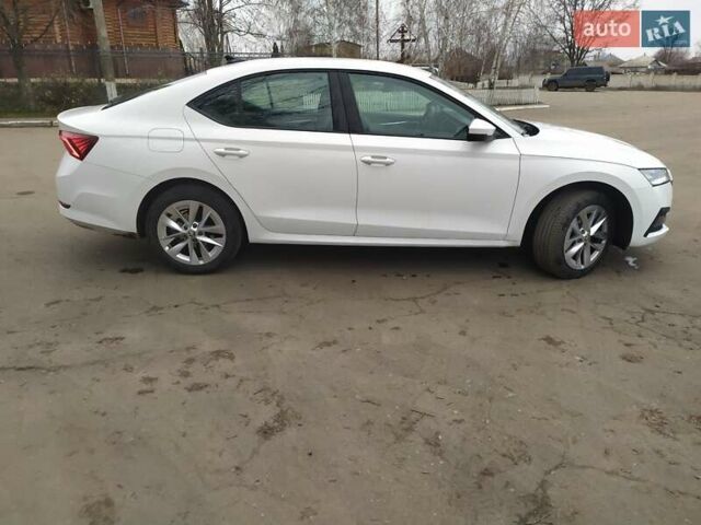 Білий Шкода Октавія, об'ємом двигуна 1.97 л та пробігом 103 тис. км за 19300 $, фото 5 на Automoto.ua