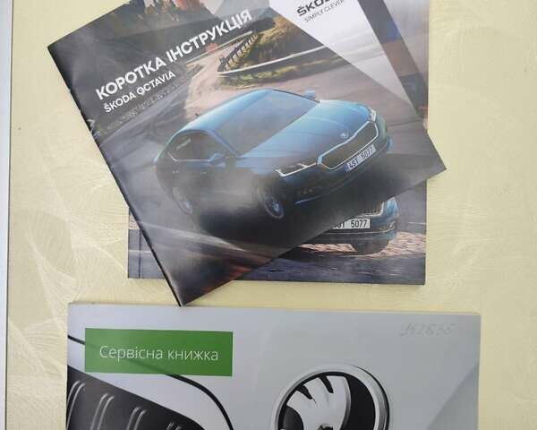 Белый Шкода Октавия, объемом двигателя 2 л и пробегом 111 тыс. км за 24000 $, фото 19 на Automoto.ua