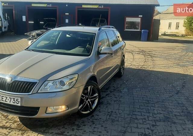 Бежевый Шкода Октавия, объемом двигателя 1.4 л и пробегом 226 тыс. км за 6300 $, фото 9 на Automoto.ua