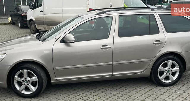 Бежевый Шкода Октавия, объемом двигателя 1.4 л и пробегом 192 тыс. км за 8350 $, фото 2 на Automoto.ua