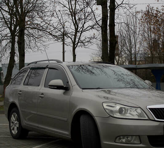 Бежевый Шкода Октавия, объемом двигателя 1.6 л и пробегом 286 тыс. км за 7500 $, фото 11 на Automoto.ua