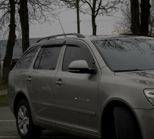 Бежевый Шкода Октавия, объемом двигателя 1.6 л и пробегом 286 тыс. км за 7500 $, фото 14 на Automoto.ua