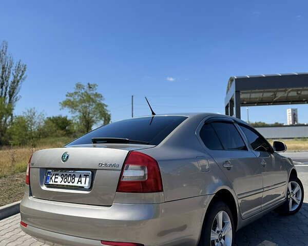 Бежевый Шкода Октавия, объемом двигателя 1.4 л и пробегом 225 тыс. км за 6700 $, фото 16 на Automoto.ua