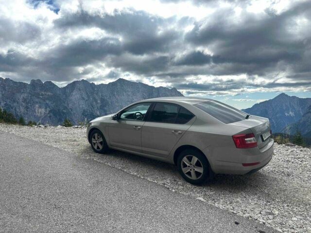 Бежевый Шкода Октавия, объемом двигателя 1.4 л и пробегом 213 тыс. км за 9000 $, фото 4 на Automoto.ua