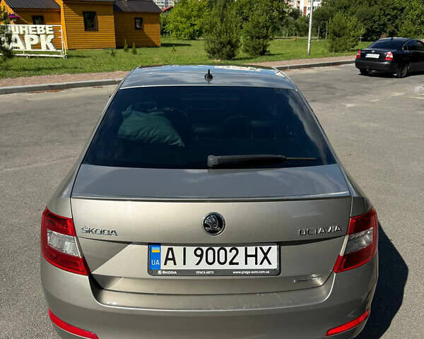 Шкода Октавия 2014 в Киеве на Automoto.ua Бежевый Шкода Октавия, объемом двигателя 1.6 л и пробегом 297 тыс. км за 11000 $, фото 3 на Automoto.ua