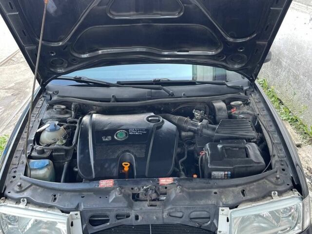 Шкода Октавія 2004 у Белой Церкве на Automoto.ua Чорний Шкода Октавія, об'ємом двигуна 1.6 л та пробігом 230 тис. км за 4800 $, фото 2 на Automoto.ua