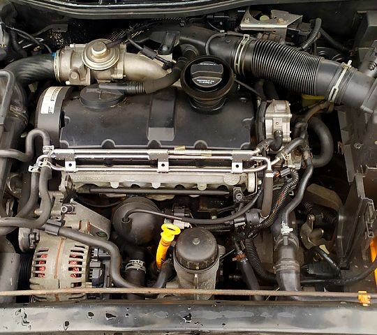 Шкода Октавия 2009 в Ромнах на Automoto.ua Черный Шкода Октавия, объемом двигателя 1.9 л и пробегом 230 тыс. км за 6000 $, фото 9 на Automoto.ua