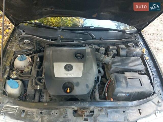 Шкода Октавия 2009 в Виннице на Automoto.ua Черный Шкода Октавия, объемом двигателя 1.9 л и пробегом 180 тыс. км за 8000 $, фото 21 на Automoto.ua