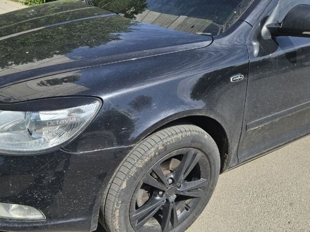 Шкода Октавия 2011 в Харькове на Automoto.ua Черный Шкода Октавия, объемом двигателя 1.8 л и пробегом 0 тыс. км за 8000 $, фото 5 на Automoto.ua