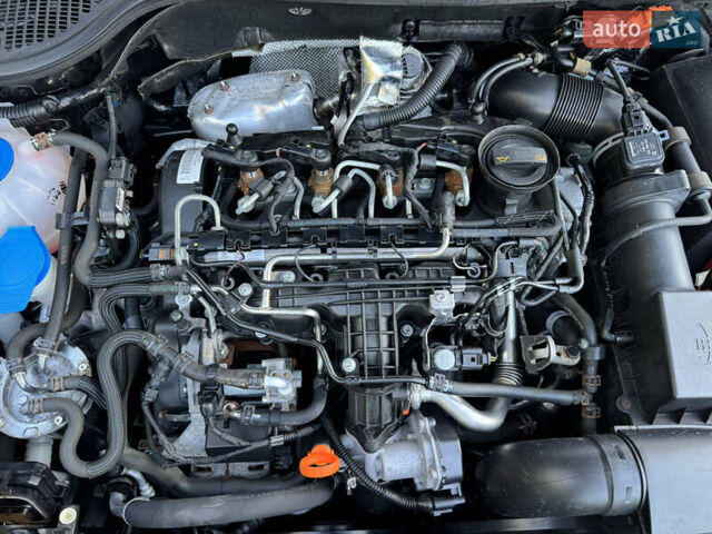 Шкода Октавия 2012 в Ровно на Automoto.ua Черный Шкода Октавия, объемом двигателя 1.6 л и пробегом 181 тыс. км за 9750 $, фото 63 на Automoto.ua