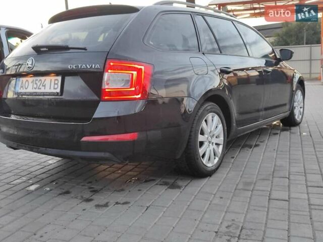 Шкода Октавия 2014 в Мукачеве на Automoto.ua Черный Шкода Октавия, объемом двигателя 1.6 л и пробегом 296 тыс. км за 10800 $, фото 11 на Automoto.ua