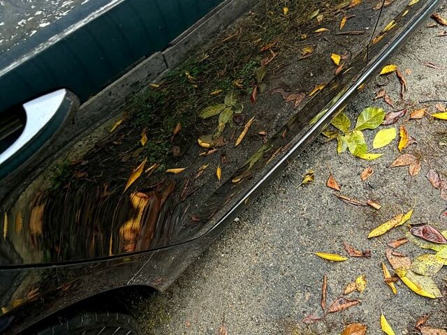 Шкода Октавия 2016 в Красноград на Automoto.ua Черный Шкода Октавия, объемом двигателя 1.6 л и пробегом 237 тыс. км за 11000 $, фото 4 на Automoto.ua