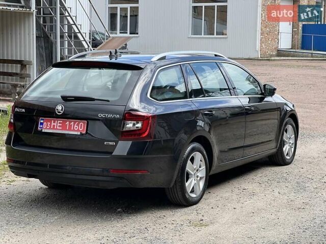 Черный Шкода Октавия, объемом двигателя 1.5 л и пробегом 239 тыс. км за 12350 $, фото 12 на Automoto.ua