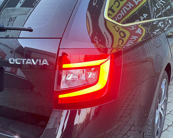 Шкода Октавия 2020 в Хусте на Automoto.ua Черный Шкода Октавия, объемом двигателя 1.98 л и пробегом 229 тыс. км за 18250 $, фото 21 на Automoto.ua