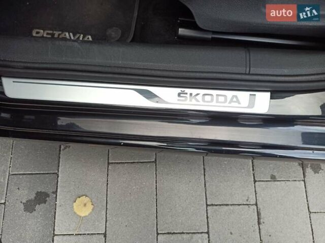 Шкода Октавия 2020 в Луцке на Automoto.ua Черный Шкода Октавия, объемом двигателя 2 л и пробегом 220 тыс. км за 17500 $, фото 15 на Automoto.ua