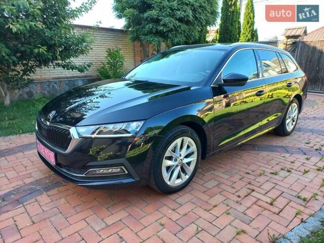 Черный Шкода Октавия, объемом двигателя 2 л и пробегом 224 тыс. км за 19499 $, фото 6 на Automoto.ua