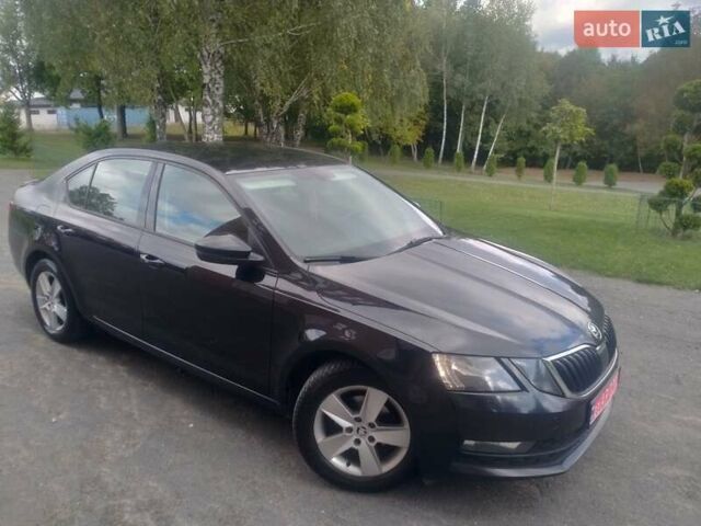 Шкода Октавия 2018 в Хмельницком на Automoto.ua Черный Шкода Октавия, объемом двигателя 1.6 л и пробегом 210 тыс. км за 12999 $, фото 15 на Automoto.ua