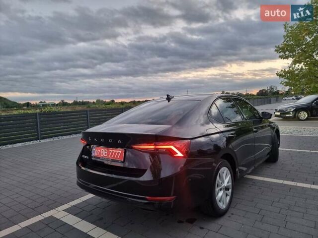 Чорний Шкода Октавія, об'ємом двигуна 1.97 л та пробігом 167 тис. км за 21700 $, фото 1 на Automoto.ua
