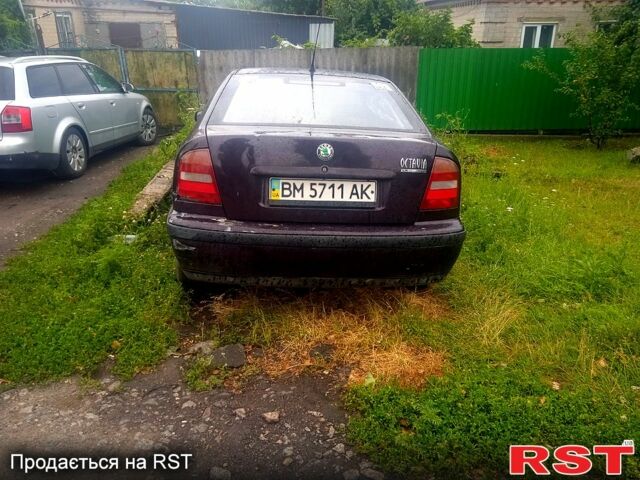 Фиолетовый Шкода Октавия, объемом двигателя 1.6 л и пробегом 320 тыс. км за 1900 $, фото 2 на Automoto.ua