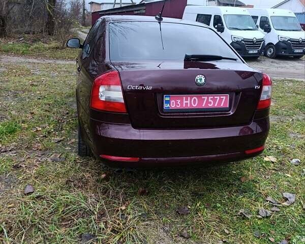 Коричневий Шкода Октавія, об'ємом двигуна 1.8 л та пробігом 237 тис. км за 7850 $, фото 9 на Automoto.ua