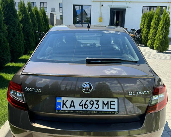 Шкода Октавия 2019 в Киеве на Automoto.ua Коричневый Шкода Октавия, объемом двигателя 1.8 л и пробегом 235 тыс. км за 14000 $, фото 29 на Automoto.ua