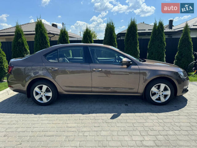 Шкода Октавия 2019 в Киеве на Automoto.ua Коричневый Шкода Октавия, объемом двигателя 1.8 л и пробегом 235 тыс. км за 14000 $, фото 33 на Automoto.ua
