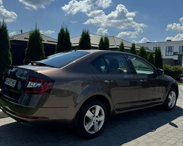 Шкода Октавия 2019 в Киеве на Automoto.ua Коричневый Шкода Октавия, объемом двигателя 1.8 л и пробегом 235 тыс. км за 14000 $, фото 32 на Automoto.ua