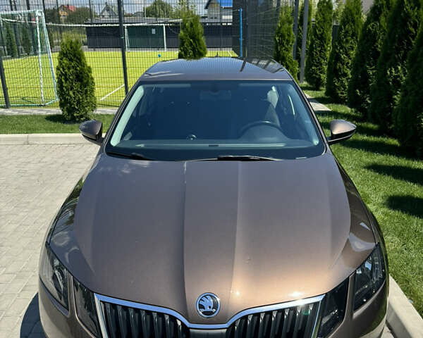 Шкода Октавия 2019 в Киеве на Automoto.ua Коричневый Шкода Октавия, объемом двигателя 1.8 л и пробегом 235 тыс. км за 14000 $, фото 36 на Automoto.ua