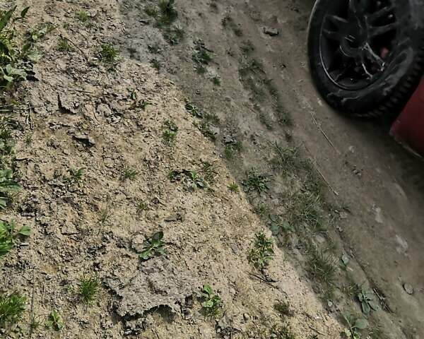 Красный Шкода Октавия, объемом двигателя 1.9 л и пробегом 366 тыс. км за 2499 $, фото 15 на Automoto.ua