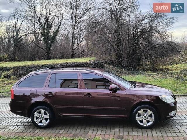 Красный Шкода Октавия, объемом двигателя 1.6 л и пробегом 317 тыс. км за 7700 $, фото 2 на Automoto.ua