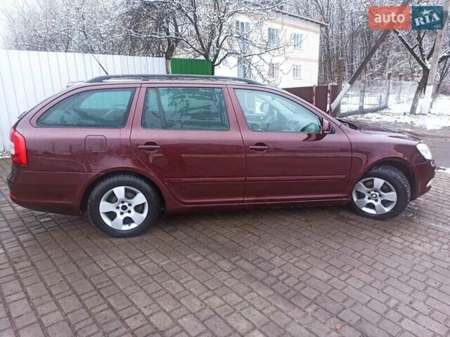 Красный Шкода Октавия, объемом двигателя 1.39 л и пробегом 279 тыс. км за 5390 $, фото 10 на Automoto.ua