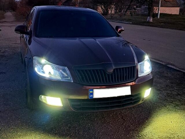 Червоний Шкода Октавія, об'ємом двигуна 12 л та пробігом 183 тис. км за 8000 $, фото 2 на Automoto.ua