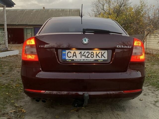 Красный Шкода Октавия, объемом двигателя 1.8 л и пробегом 248 тыс. км за 8200 $, фото 1 на Automoto.ua