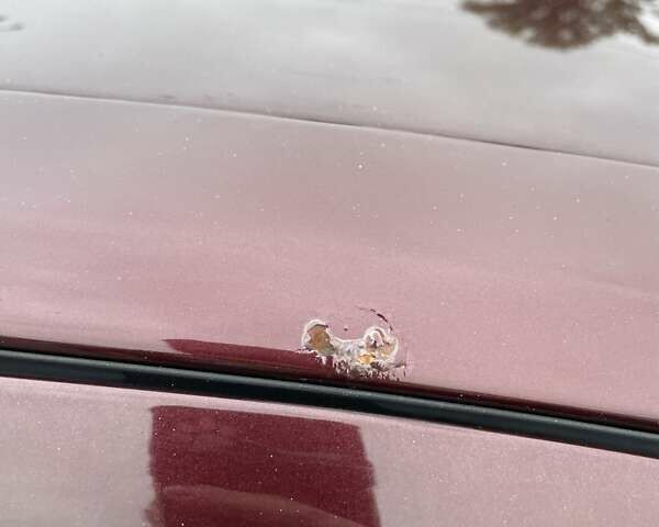 Красный Шкода Октавия, объемом двигателя 1.8 л и пробегом 167 тыс. км за 8200 $, фото 32 на Automoto.ua