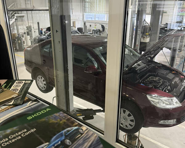 Красный Шкода Октавия, объемом двигателя 1.8 л и пробегом 40 тыс. км за 9600 $, фото 54 на Automoto.ua