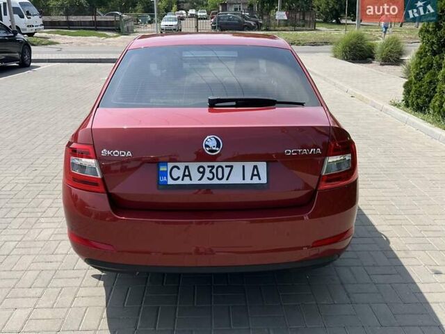 Красный Шкода Октавия, объемом двигателя 1.4 л и пробегом 192 тыс. км за 12500 $, фото 6 на Automoto.ua