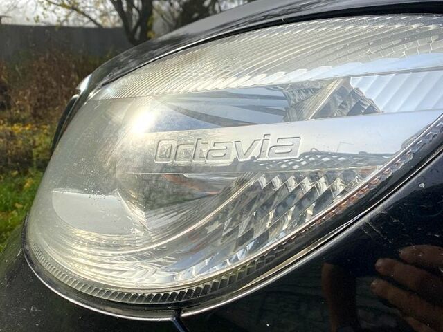Шкода Октавія, об'ємом двигуна 1.6 л та пробігом 0 тис. км за 6500 $, фото 6 на Automoto.ua